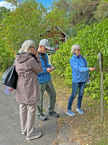 Liljans herrgård 2 Dalarna.jpg