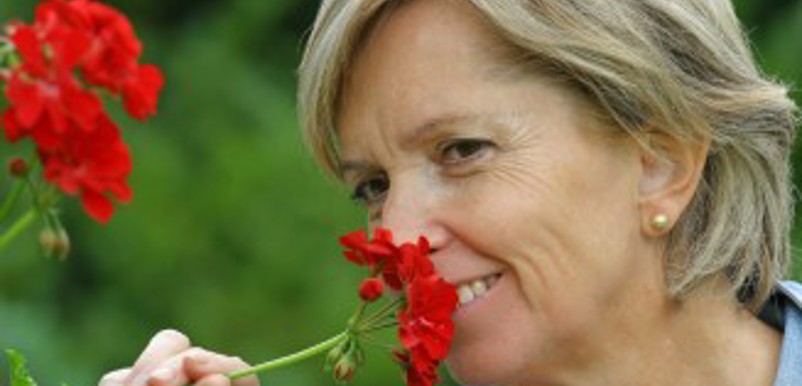 En kvinna luktar på en röd pelargon