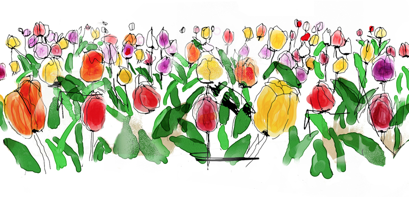Illustration tulpanrabatt med tulpaner i orange, gult, rött, lila