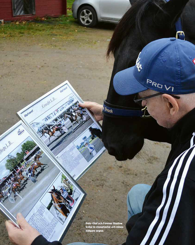 Pehr-Olof tittar på vinnartavlor tillsammans med hästen Forever Shadow